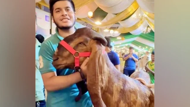 lakh-takar-chagl-niye-tolpar-za-bllen-sei-ifat-1718849376