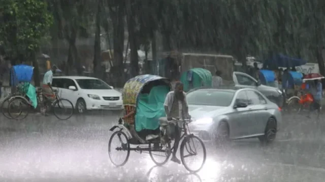 rain4-1739790594