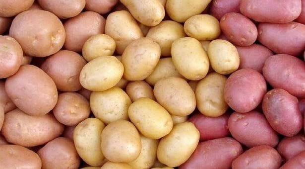 364796428_3423511147886840_8604401762224209890_n