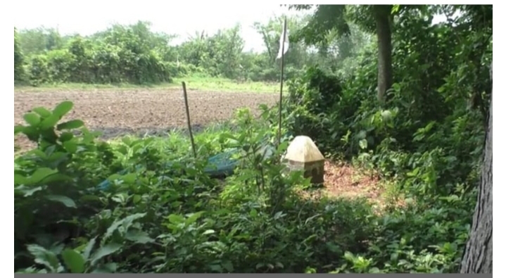 ভারতের সীমান্তে পড়ে ছিল ওবাইদুরের মরদেহ, জানা গেল চাঞ্চল্যকর তথ্য