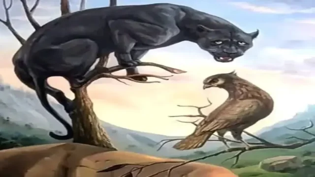 492462866_644867275039337_7641971564369861385_n-1-2505280948-1-2505281004 (1)