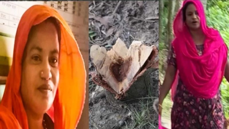 মহিলা দলের নেত্রী লেডি ডন লাইজুর ক্ষমতার কাছে অসহায় জনগন মহিলা দলের নেত্রী লেডি ডন লাইজুর ক্ষমতার কাছে অসহায় জনগন
