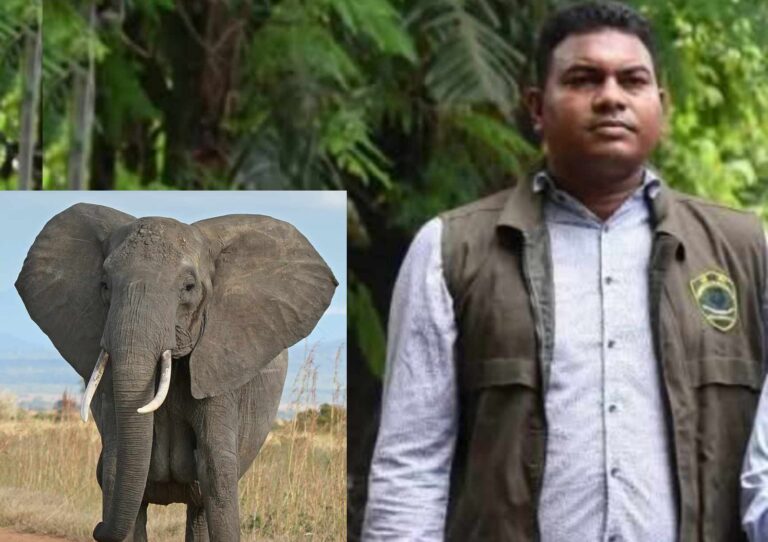গুম সেলের গার্ডদের মধ্যে নিকৃষ্ট ছিল হাতির মত দেখতে ইমরান